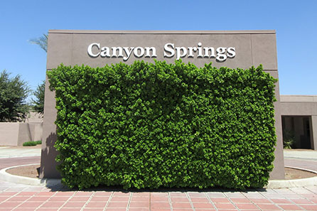 Canyon Springs